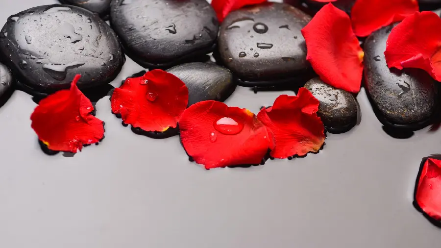 Red Rose Petal Overlays