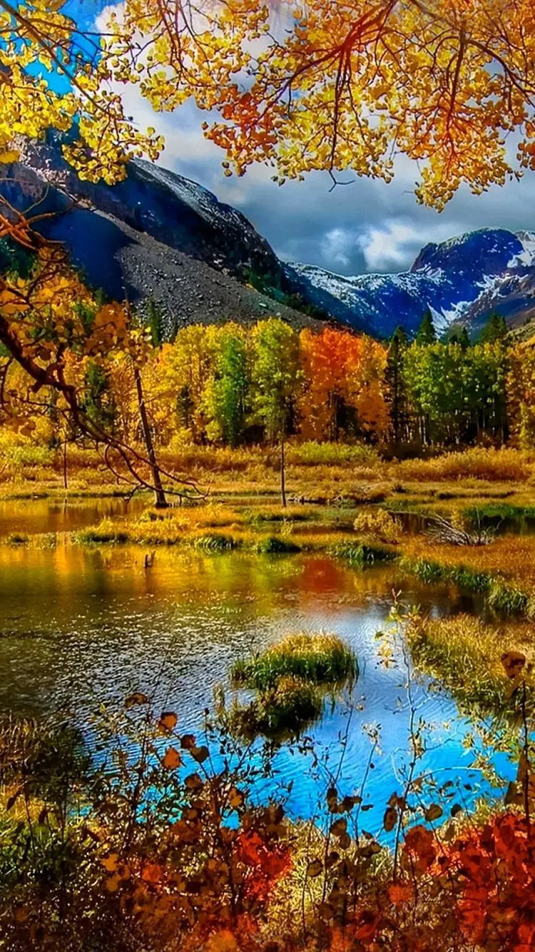 High Quality Autumn Wallpaper