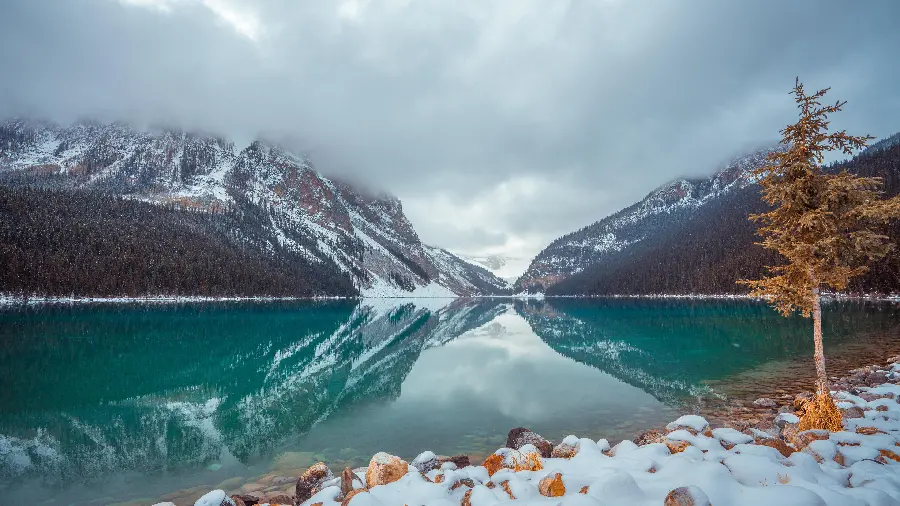 Amazing photo of Canadian nature 8K