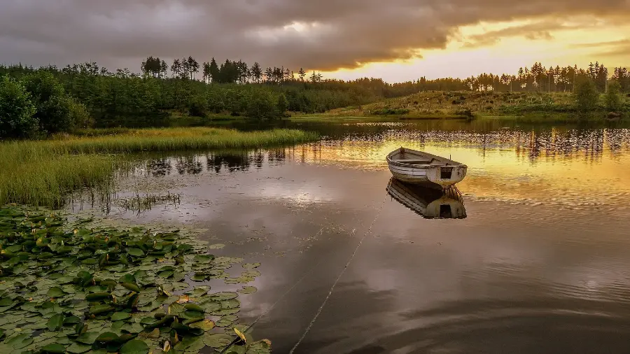 Beautiful Reflection of the Sky in the Pond Water in 8K Quality