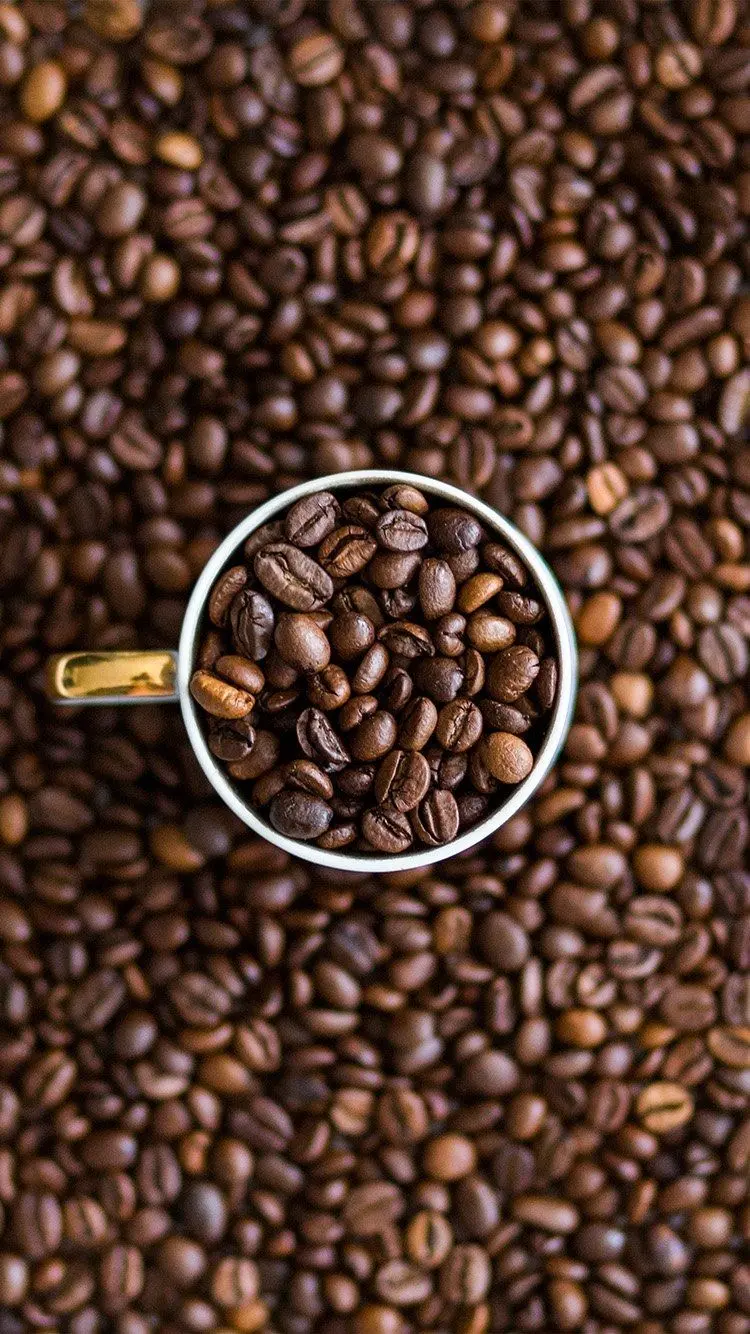 Artistic photo of a cup full of fragrant coffee beans or Coffee Bean