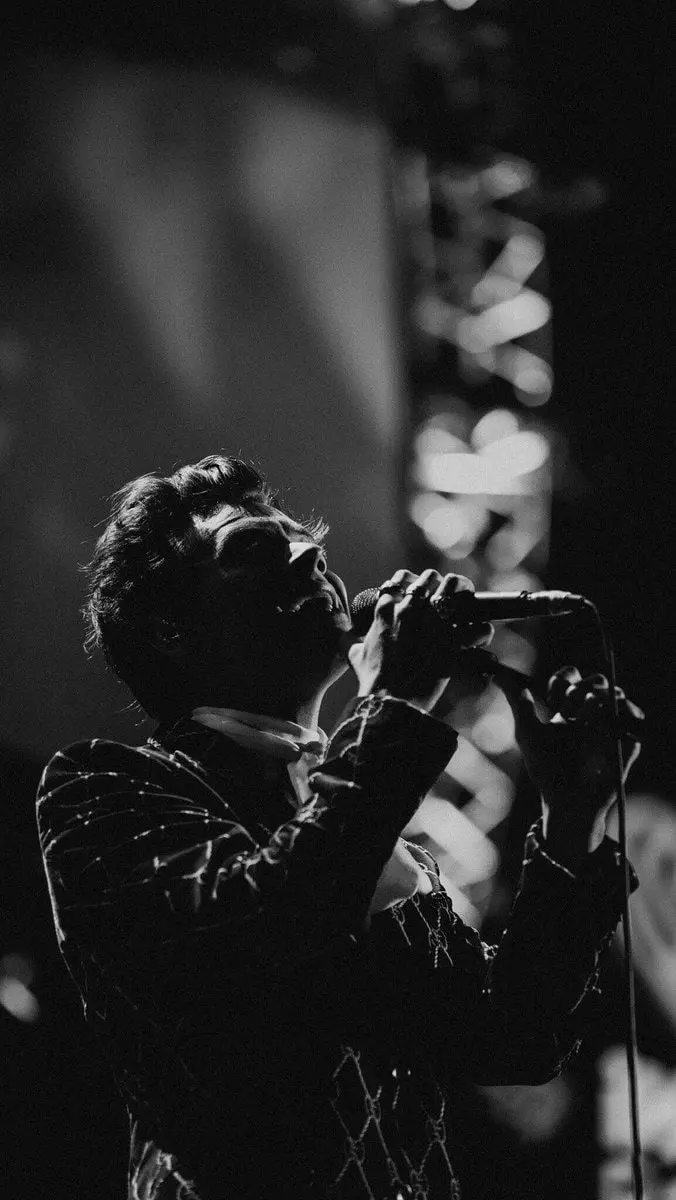 The most beautiful image of Harry Styles concert in 8k quality