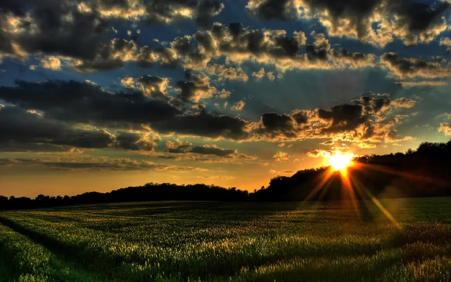 Spring nature photo Beautiful and pristine with high quality HD