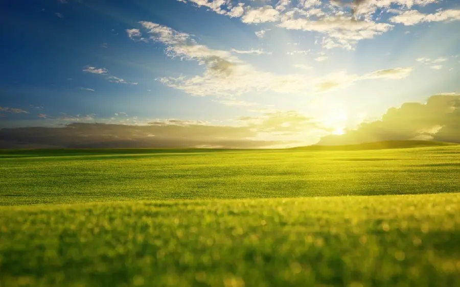 Beautiful and Spectacular Spring Morning Background High Quality Top