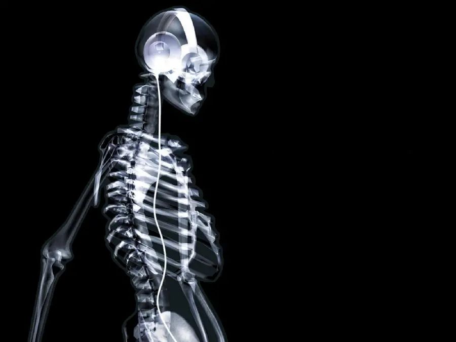 HD wallpaper of human body radiology for office computer