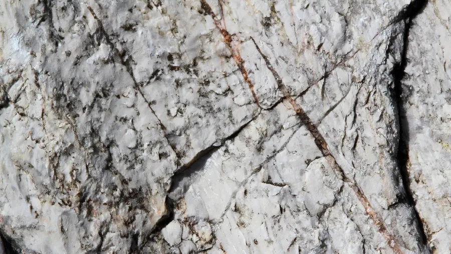 Spectacular white stone texture with black veins for 3D Max