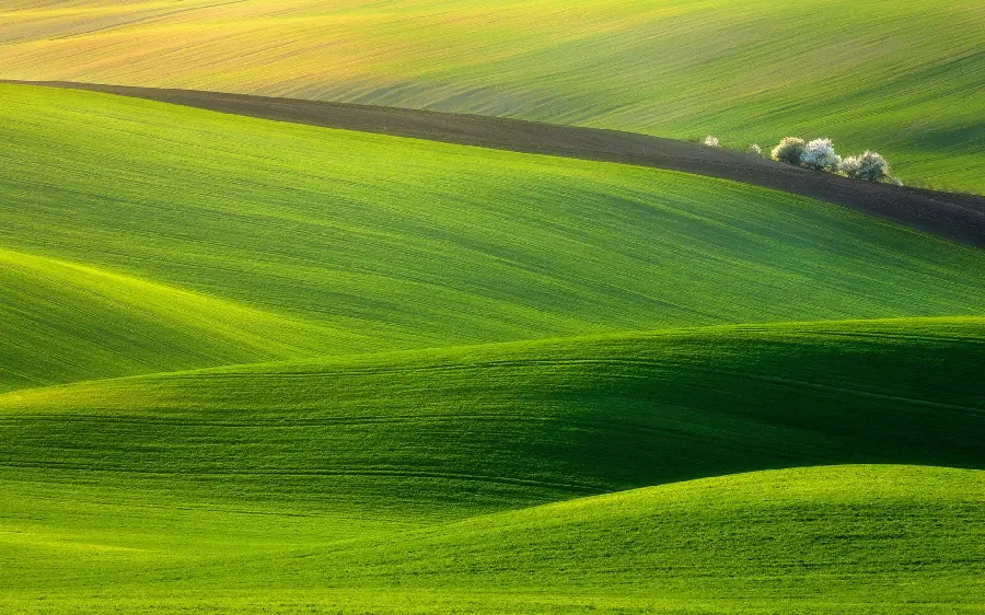 Photo of fertile plains of the Czech Republic