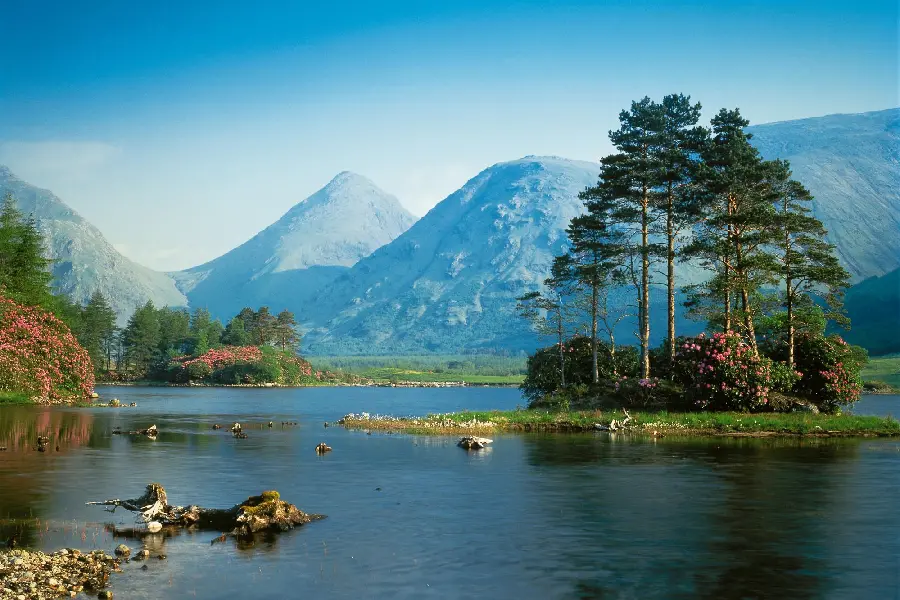 Popular Nature Background HD for Computer Wallpaper