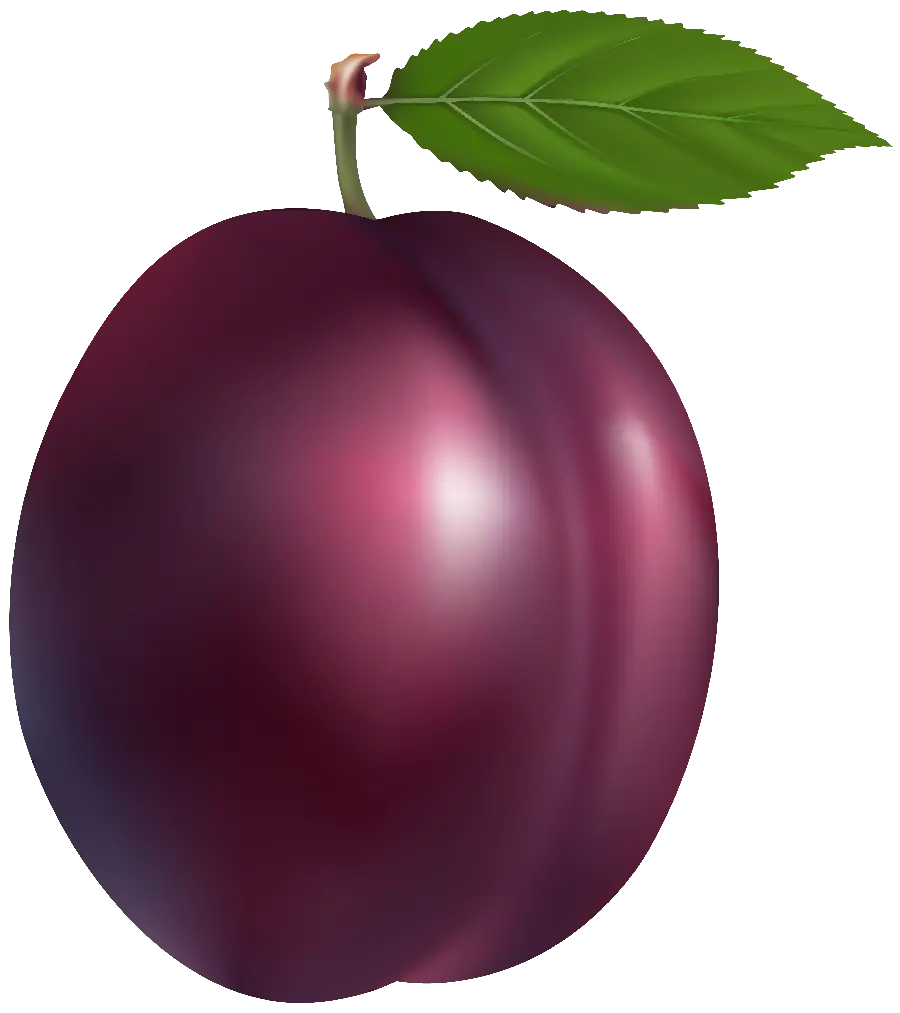 Photo of useful and delicious plums in the form of a free download