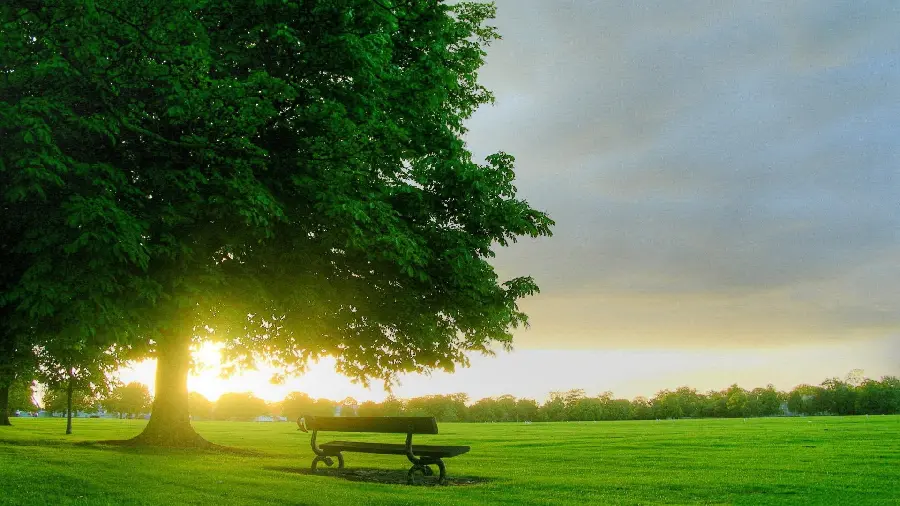 Beautiful professional spring photo for Instagram story and post