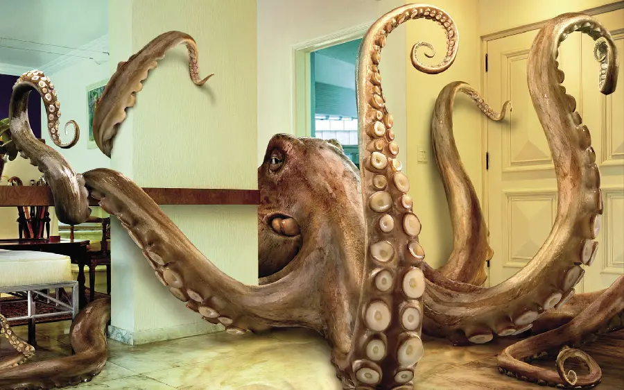 Photo Strange giant octopus inside the house in HD quality 