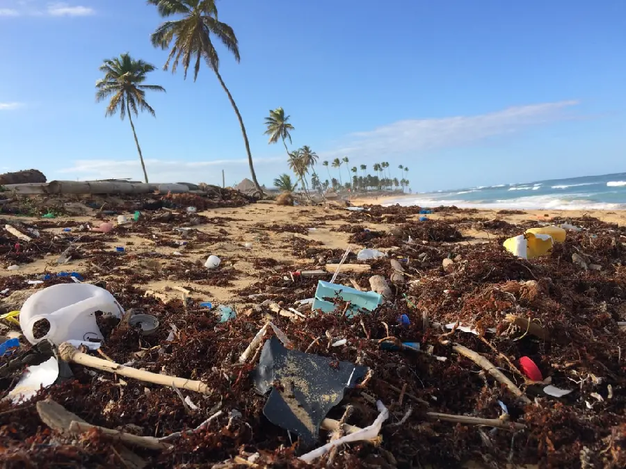 Free download of large-scale beach pollution photos