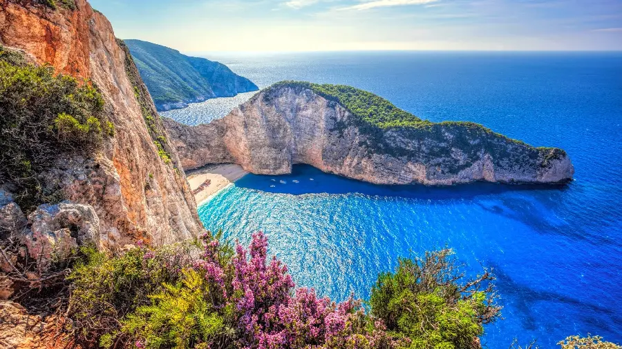 Awesome wallpaper with purple trees and blue sea for printing