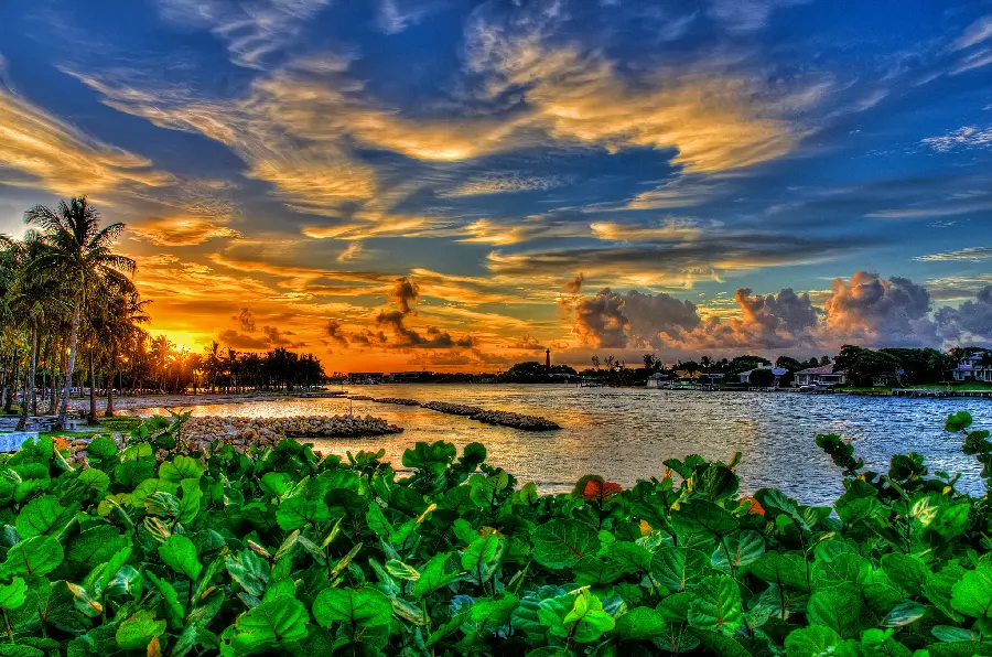 Dreamy laptop background photo with a theme ofThick and lush green 1402