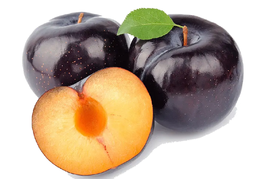 Free PNG Plum Fruit Suitable for Printing Shop Cards 