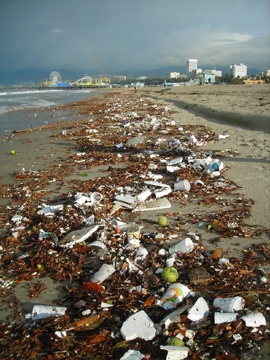 A disturbing photo of seashore pollution in HD quality