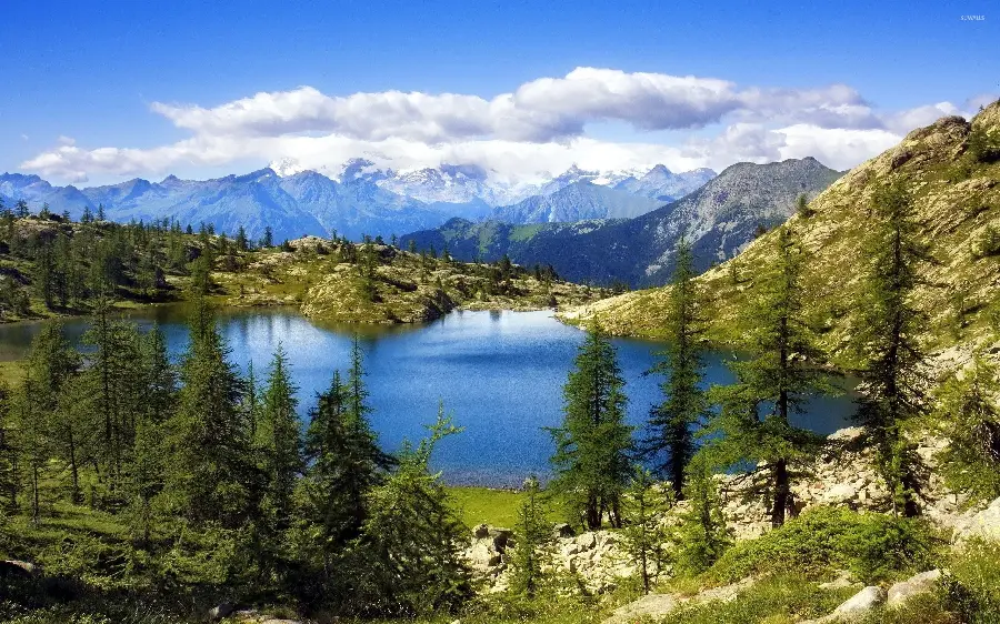A special and luxurious wallpaper of Swiss nature
