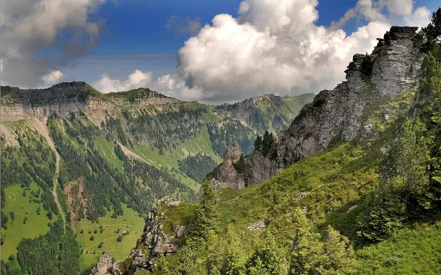 Free download of lush nature wallpaper for all types of laptops and computers