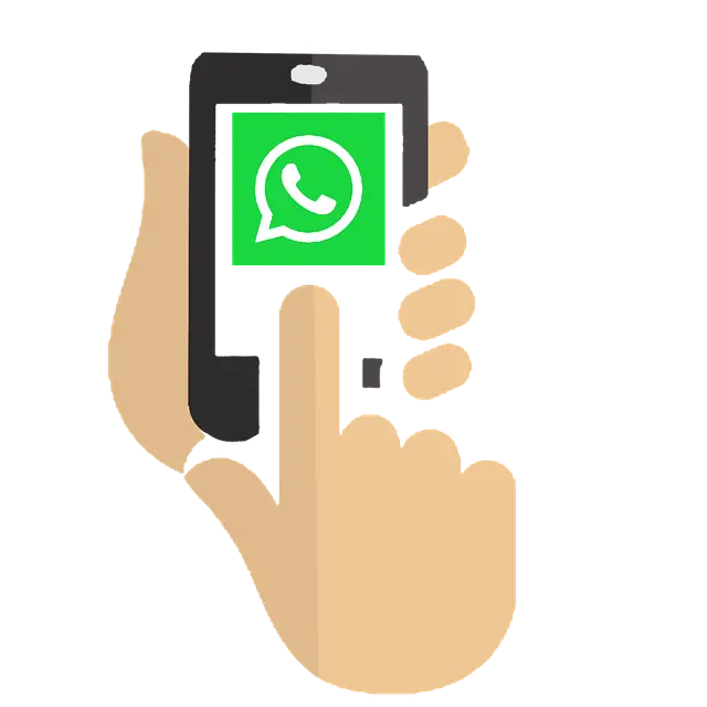WhatsApp logo on phone screen png