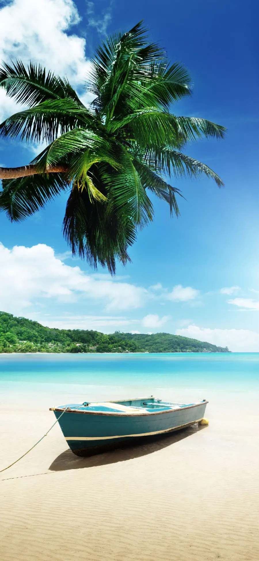 Luxury boat hd wallpaper on a hot tropical beach under a palm tree