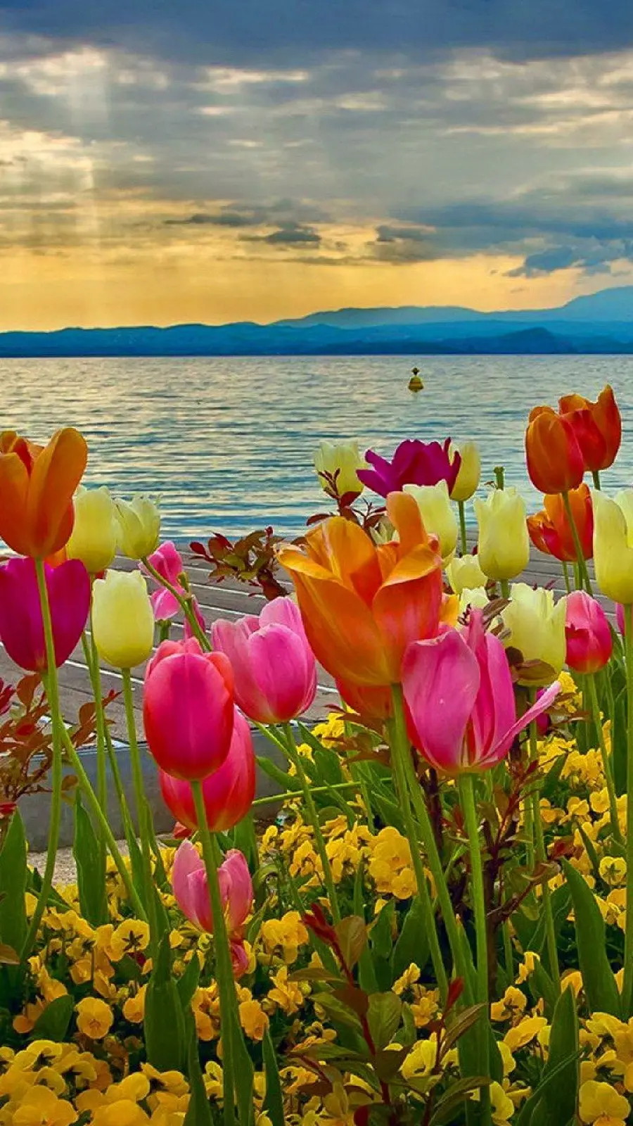 Masterpiece image of spring flowers by the sea with special quality