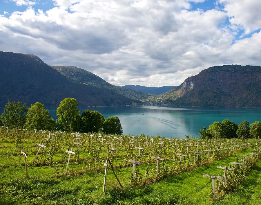 New Windows 10 and 11 background of the pristine Scandinavian nature