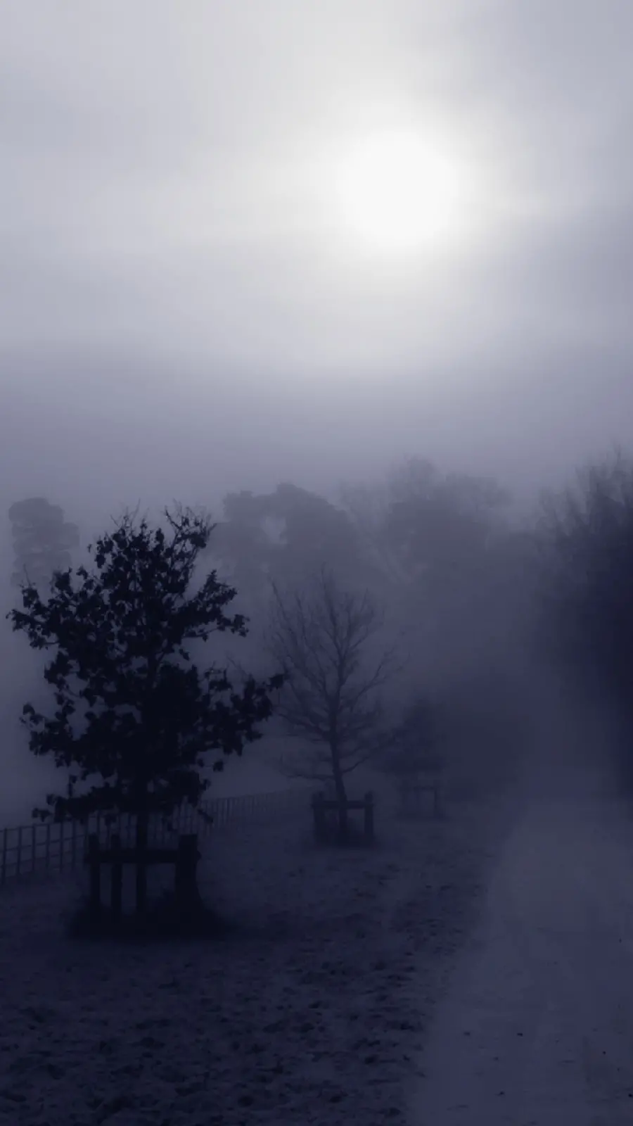 Fog and scary park wallpaper for Samsung A13
