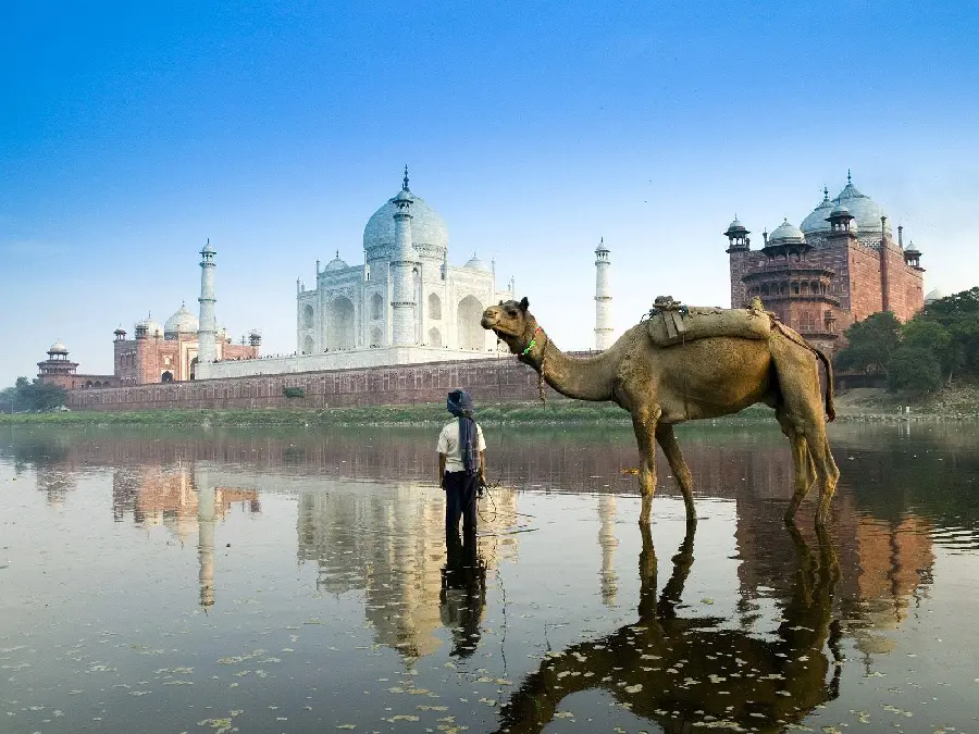 A beautiful background of a beautiful boy next to a camel