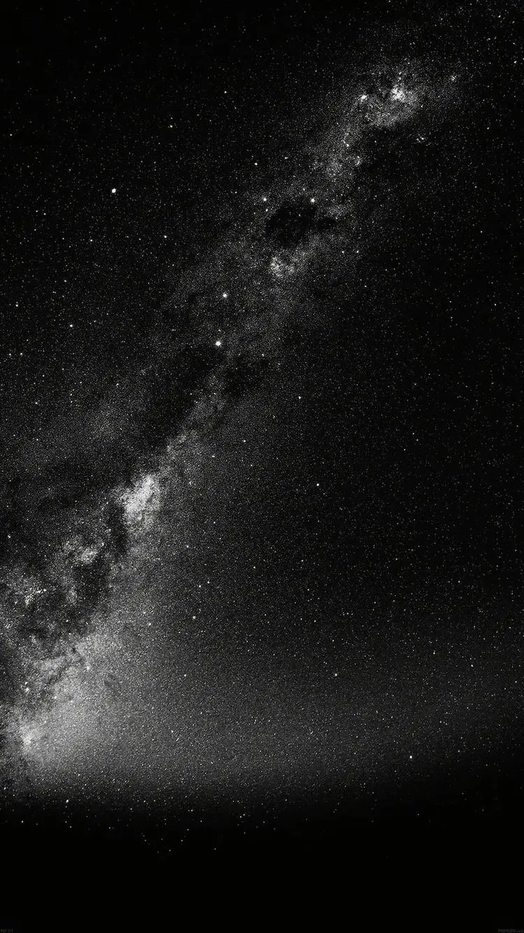 The most beautiful black and white photo of the starry sky 1402