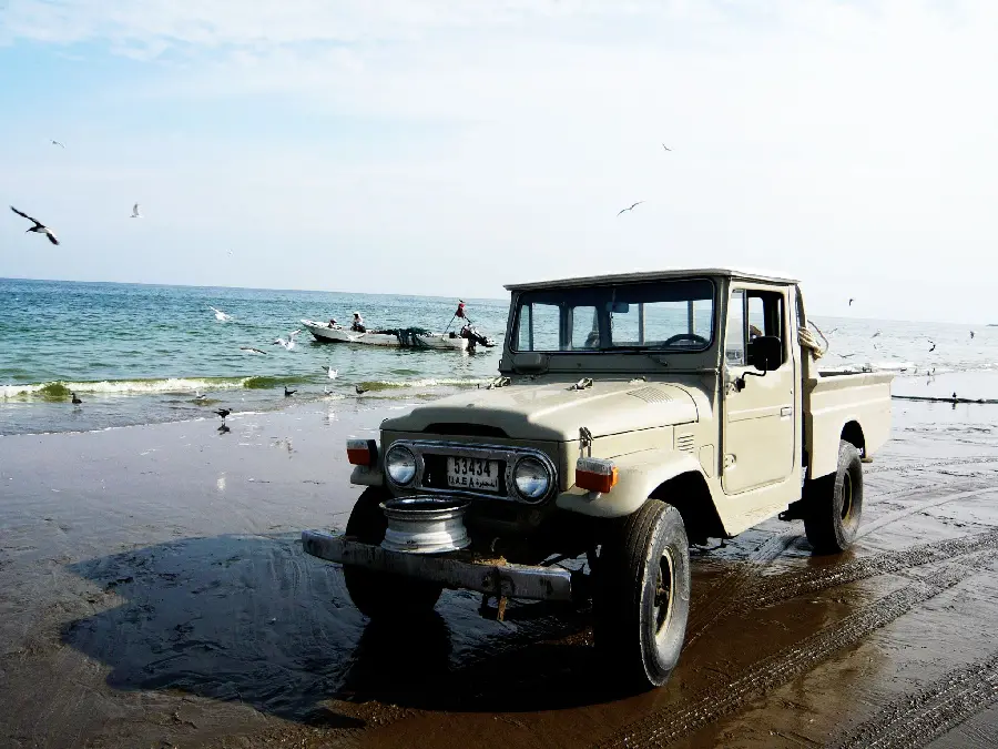 Photo Toyota Land Cruiser F2 Beige