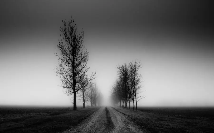Landscape photo with black and white effect