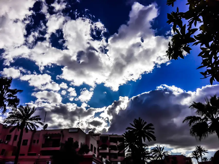 Download profile photo of the beautiful blue Asma in Morocco 1402