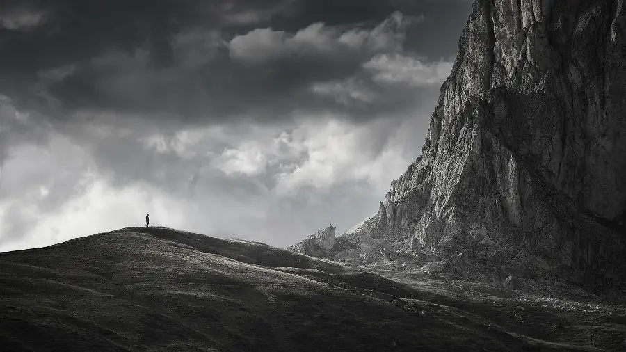 Black and white photo of nature with the best quality for printing