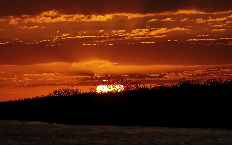 A spectacular sunset image behind the trees Full HD