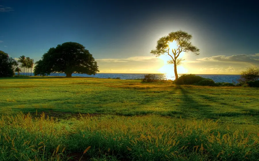 Spring sunset wallpaper