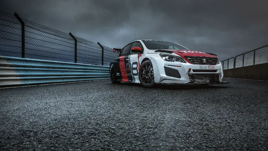 Peugeot Rally Car Photo