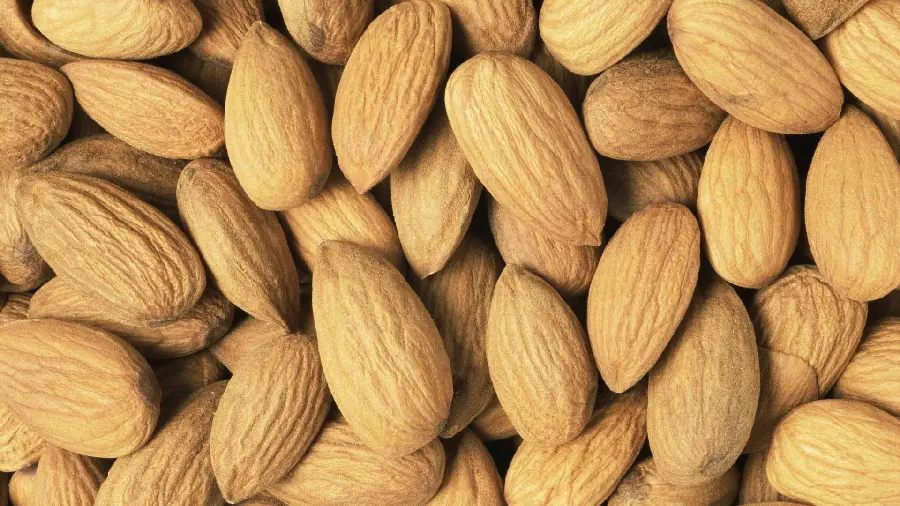 The latest 8k photo of mountain almonds and tree almonds