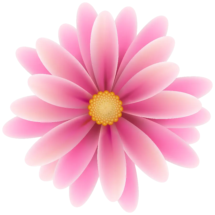Pink Flower PNG Image For Editing