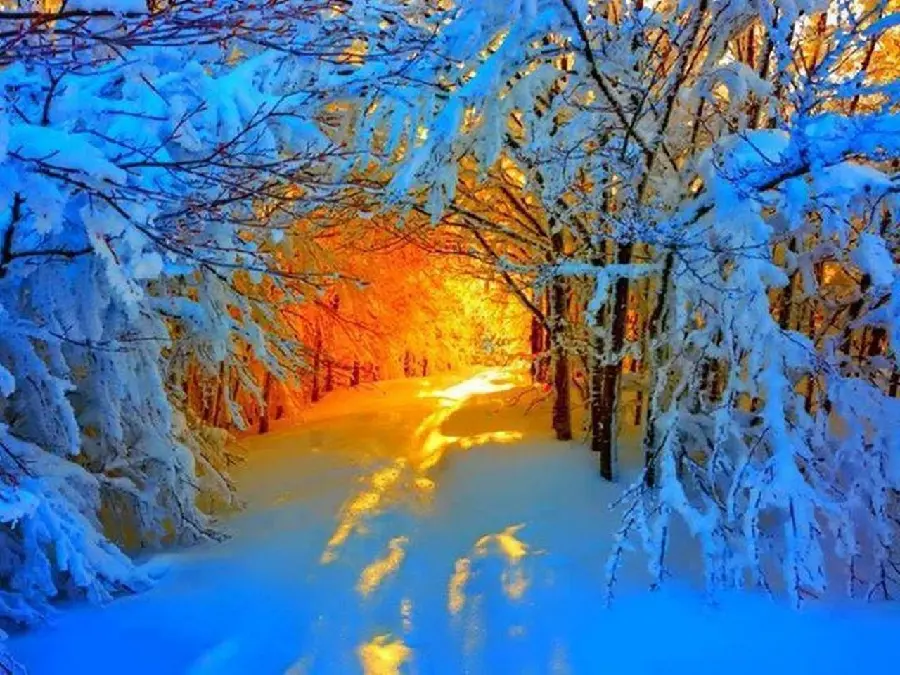 Amazing snow tunnel in the heart of the forest with a special sunbeam
