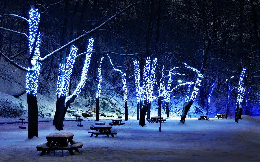 Romantic winter photo without text