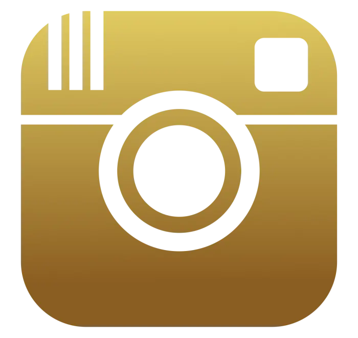 Download Golden Instagram Icon PNG Image