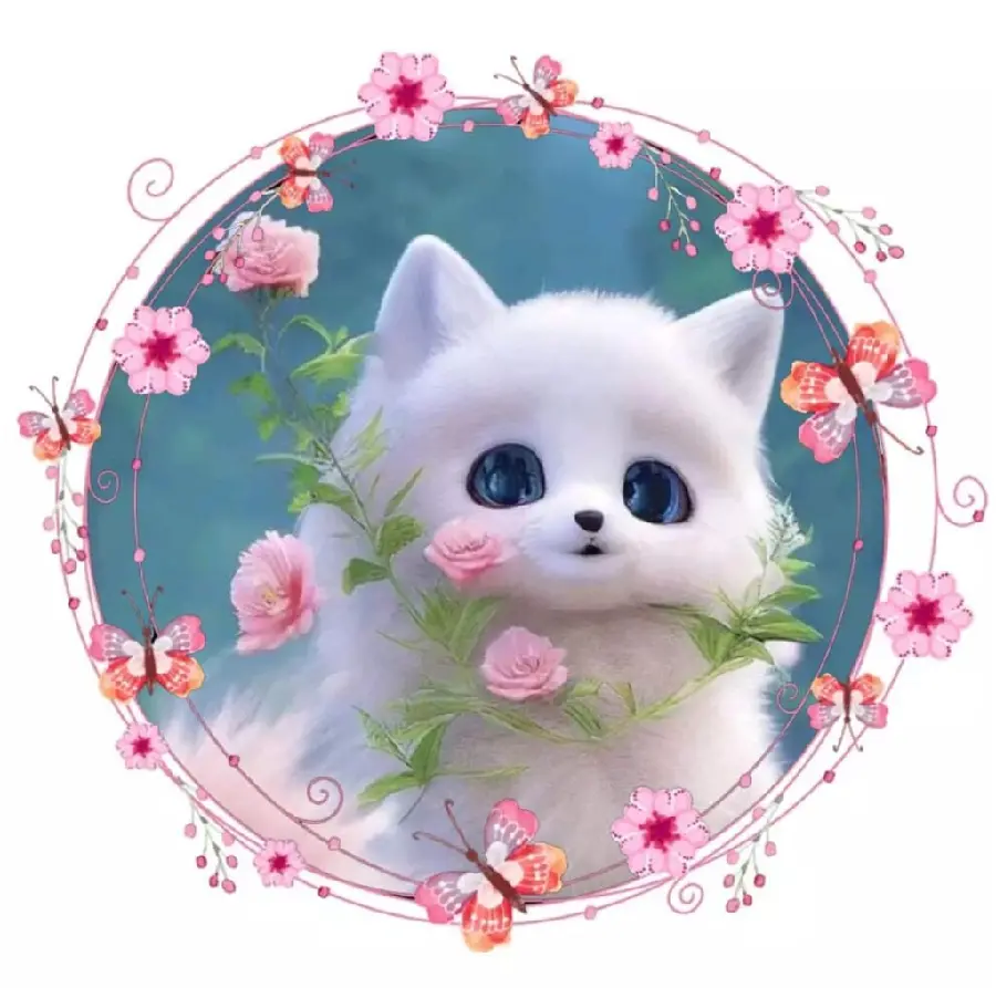 The most beautiful white cat profile with a pink circle frame