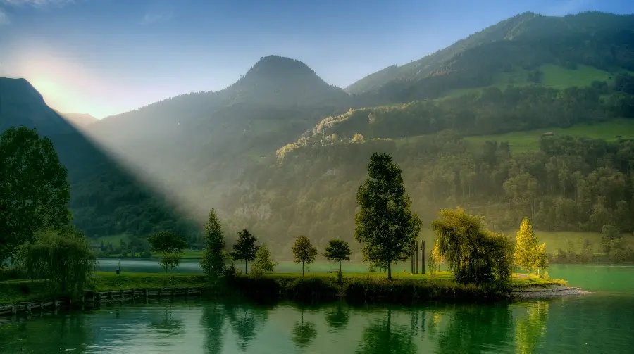 Enchanting morning sun rays on lush nature for profile