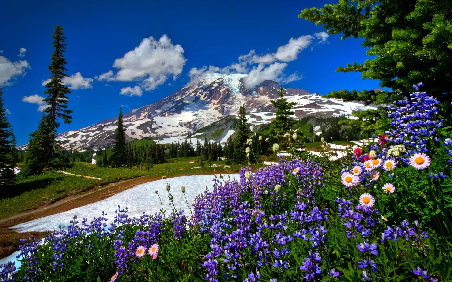 A beautiful landscape imageInspirational mountain in spring for profile 