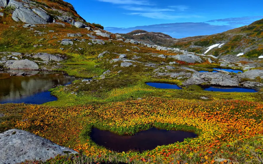 Interesting photo of a small spring landscape in the mountains in 4k quality