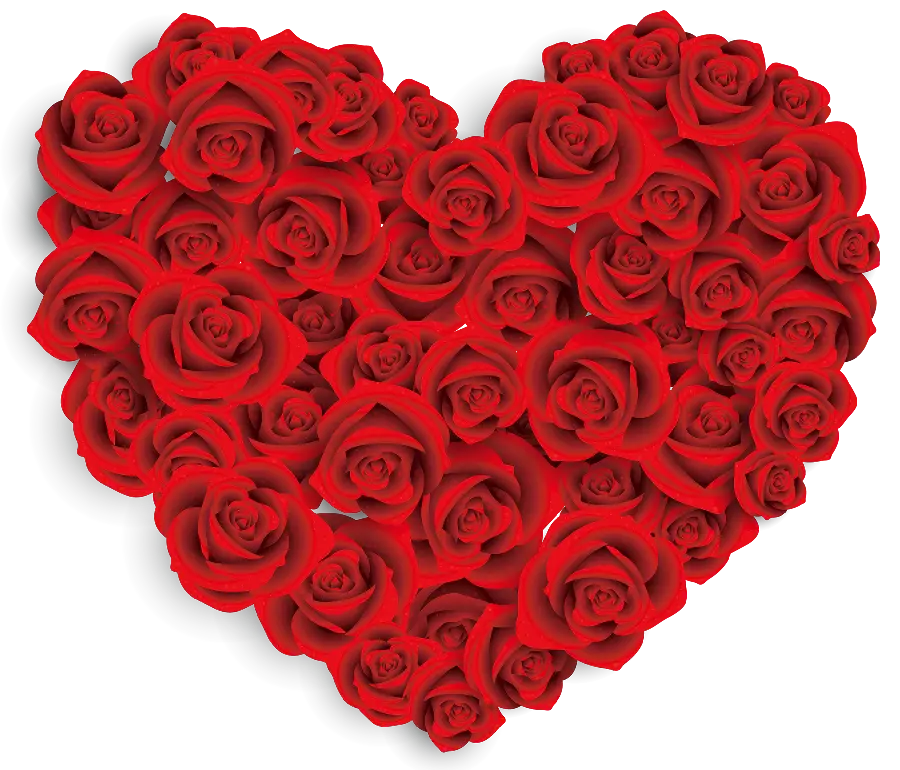 Heart-shaped red rose without background for photo editing png
