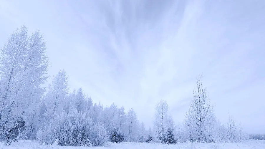 Download high quality 4k winter photo