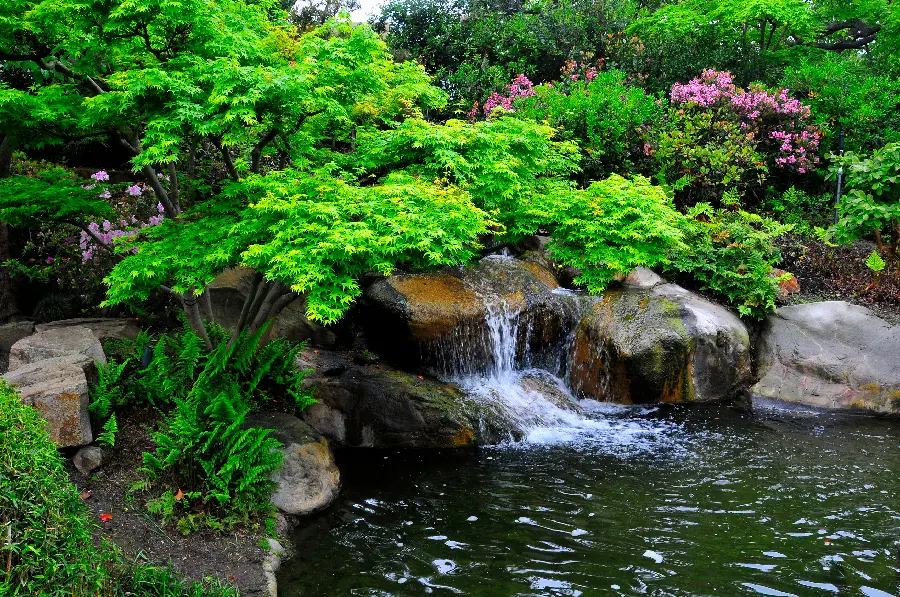 Beautiful nature photo suitable for banner printing with very good quality
