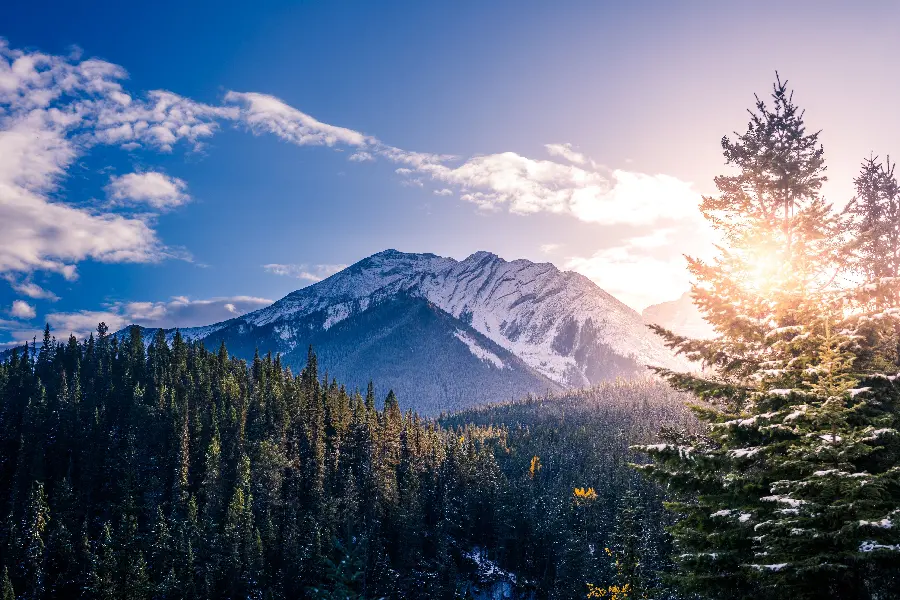 Sunrise Photo in Canada Nature with 8K Quality