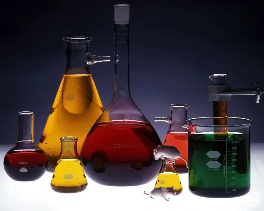Photo of various chemistry tools next to a laboratory mouse 4K